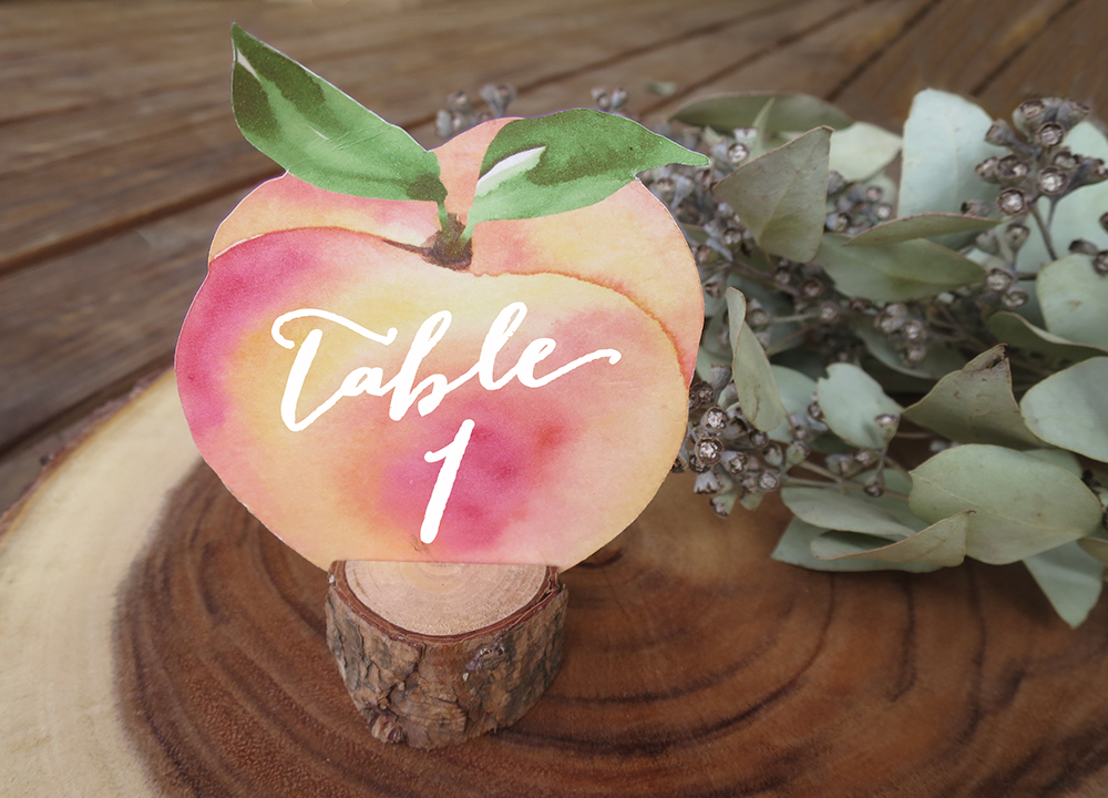 Download Sweet Peach Wedding Event Table Numbers Laser Cut Bloom On Paper